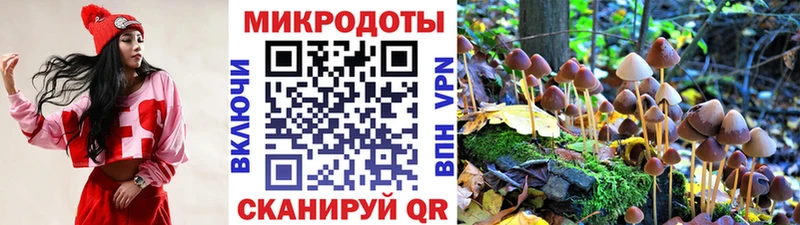 Купить где  Вязники  Псилоцибиновые грибы Psilocybine cubensis 
